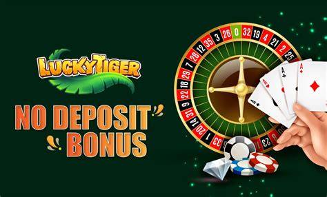 casino bonus 2026